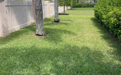 Photo of Hunter V.'s yard after getting lawn care in Sanford, FL