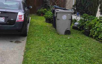 Photo of Sandy T.'s yard after getting lawn care in Davie, FL