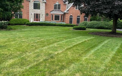 Photo of Harold W.'s yard after getting lawn care in Beach Park, IL
