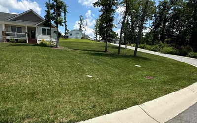 Photo of Christina C.'s yard after getting lawn care in Delaware, OH