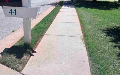Photo of Leandre H.'s yard after getting lawn care in Westbrook, ME