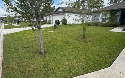 Photo of Elric M.'s yard after getting lawn care in Delano, CA