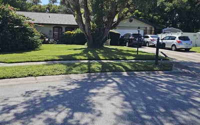 Photo of Jeremy S.'s yard after getting lawn care in Springfield, MO
