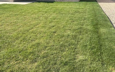Photo of Victor G.'s yard after getting lawn care in Boerne, TX