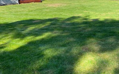 Photo of Nicholas G.'s yard after getting lawn care in Mashpee, MA