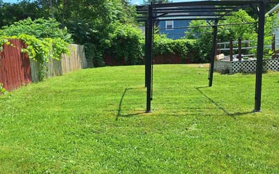 Photo of Brian F.'s yard after getting lawn care in Manchester, CT