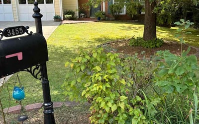 Photo of Jalen S.'s yard after getting lawn care in College Park, GA