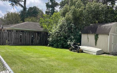 Photo of Ashton M.'s yard after getting lawn care in Rayne, LA
