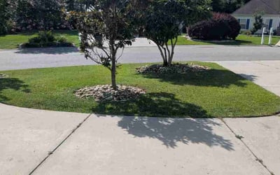 Photo of Christopher S.'s yard after getting lawn care in Kenly, NC