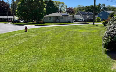 Photo of Lucas N.'s yard after getting lawn care in Berlin, CT
