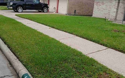 Photo of Joy G.'s yard after getting lawn care in Albany, OR