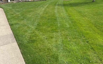Photo of Rachael D.'s yard after getting lawn care in Rockford, MI
