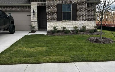 Photo of Yiesenia M.'s yard after getting lawn care in Sherman, TX