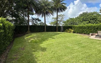 Photo of Ryan J.'s yard after getting lawn care in Austin, TX