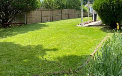 Photo of Janel B.'s yard after getting lawn care in New Milford, NJ