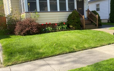 Photo of Darryl J.'s yard after getting lawn care in Rochester, NH