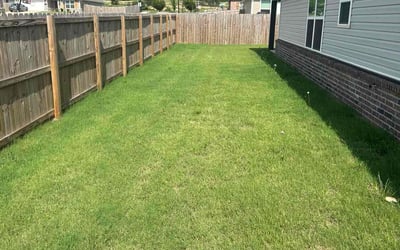 Photo of Jamal T.'s yard after getting lawn care in New Orleans, LA