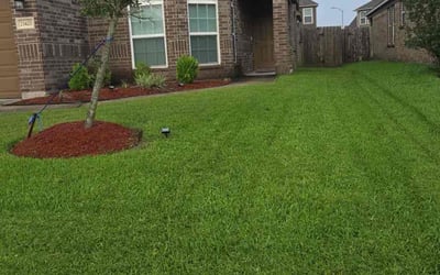 Photo of Jordan M.'s yard after getting lawn care in Des Moines, IA
