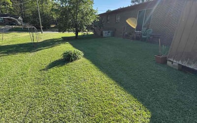 Photo of Jenitza G.'s yard after getting lawn care in Fayetteville, NC