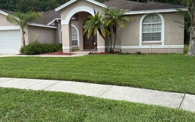 Photo of Gio H.'s yard after getting lawn care in Palm Harbor, FL