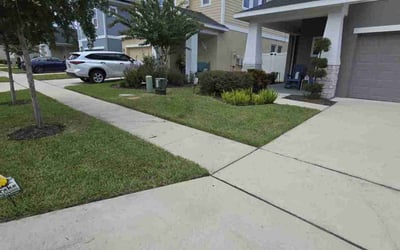 Photo of Erica R.'s yard after getting lawn care in Tavares, FL