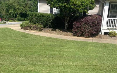Photo of Ruthie W.'s yard after getting lawn care in Gary, IN