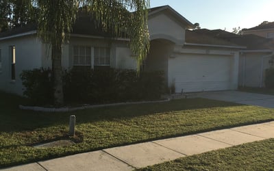 Photo of Klaire M.'s yard after getting tree care in Bremen, GA