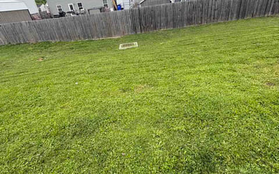 Photo of Jose M.'s yard after getting lawn care in Elk Grove Village, IL