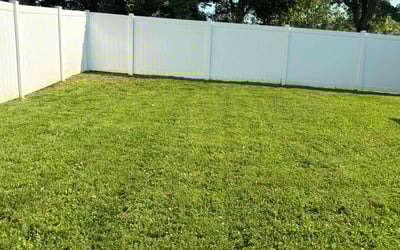 Photo of Binoy R.'s yard after getting lawn care in Knoxville, TN