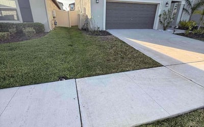 Photo of Diane B.'s yard after getting lawn care in Albany, OR