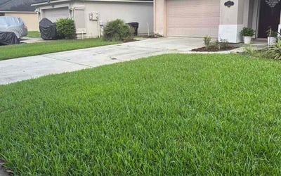 Photo of Payton F.'s yard after getting lawn care in College Park, MD