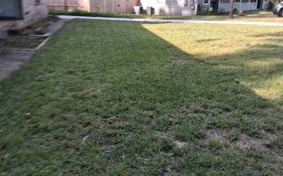 Photo of Michael S.'s yard after getting lawn care in Northville, MI