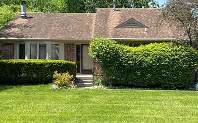 Photo of Janice W.'s yard after getting lawn care in Chesterfield, MI