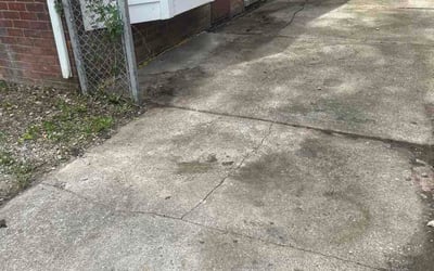 Photo of Sharnele S.'s yard after getting lawn care in Poughkeepsie, NY