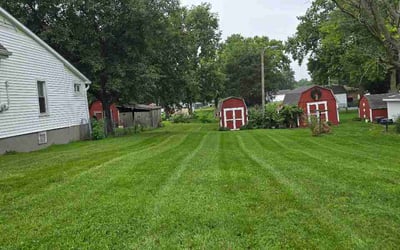 Photo of Jeffrey R.'s yard after getting lawn care in Mount Airy, MD