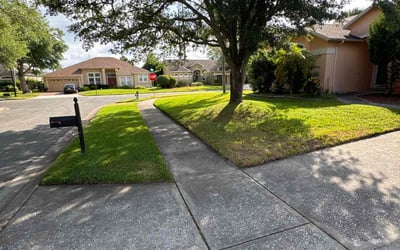 Photo of Billy B.'s yard after getting lawn care in Kent, WA