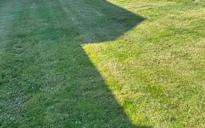 Photo of Carine J.'s yard after getting lawn care in Somerset, MA