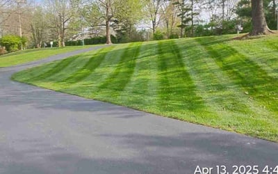 Photo of Michael K.'s yard after getting lawn care in Cape Coral, FL