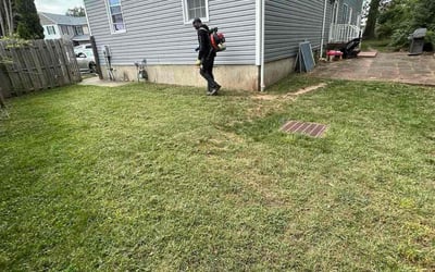 Photo of Breanna E.'s yard after getting lawn care in Decatur, GA