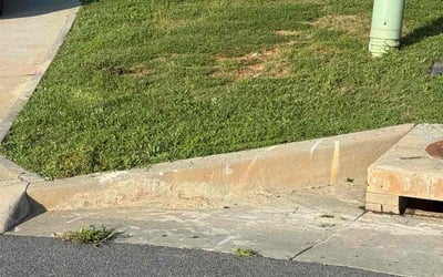 Photo of Julie C.'s yard after getting lawn care in Torrance, CA