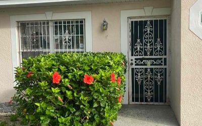 Photo of Kevin M.'s yard after getting lawn care in Wheeling, WV