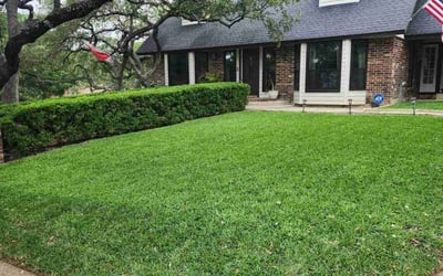 Photo of Brian B.'s yard after getting lawn care in The Villages, FL