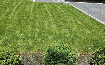 Photo of Chris w.'s yard after getting lawn care in Tenafly, NJ