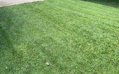 Photo of Anna M.'s yard after getting lawn care in Altoona, IA
