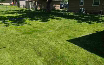 Photo of David C.'s yard after getting lawn care in Bloomington, MN