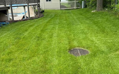 Photo of Paula B.'s yard after getting lawn care in Keller, TX