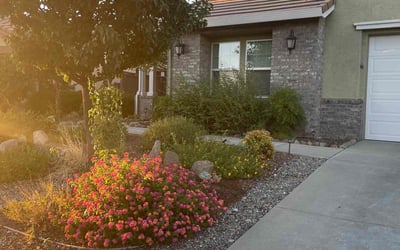 Photo of Shannon W.'s yard after getting lawn care in Garden Grove, CA