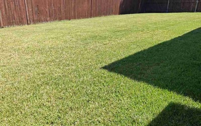 Photo of Curtis C.'s yard after getting lawn care in Keller, TX