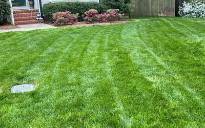 Photo of Brandon C.'s yard after getting lawn care in Apex, NC