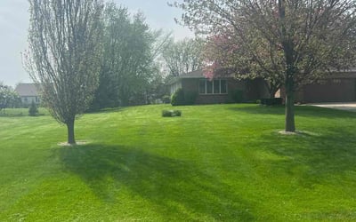 Photo of Erin T.'s yard after getting lawn care in Lockport, IL